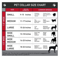 Buckle Down Superman Seatbelt DOG Collar, 1" Wide - Fits 9-15" Neck, Small, S