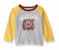 Crazy 8 Boys' Toddler Long-Sleeve Raglan Tee, Cozy Heather, 2T