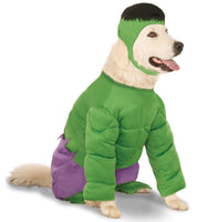 Rubies Costume Company Marvel Universe The Incredible Hulk Big Dog Boutique