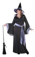 Incantasia, The Glamour Witch - Adult Plus Size Halloween Costume - Size 1X