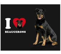 Tree-Free Greetings PG04006 I Heart Beaucerons Artful Alehouse Pint Glass, 16oz