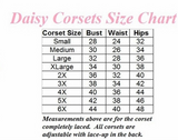 Daisy corsets Women's 4 Piece Flirty Fairy Wings Costume, 2X