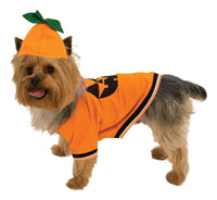 Rubie's Pet Costume, Large, Pumpkin