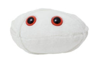 GIANT Microbes- Anthrax (Bacillus Anthracis) Plush - Polyester Fiber Fill