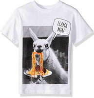 The Children's Place Big Boys' Llama Graphic Tee, White, XS (4)