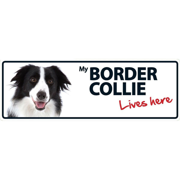 Border Collie Lives Here Plastic Sign