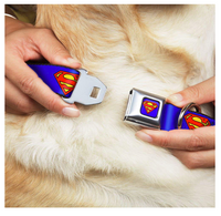 Buckle Down Superman Seatbelt DOG Collar, 1" Wide - Fits 9-15" Neck, Small, S