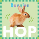 Bunnies Hop Children's Board Book by Rebecca Glaser with Photos of Rabbits
